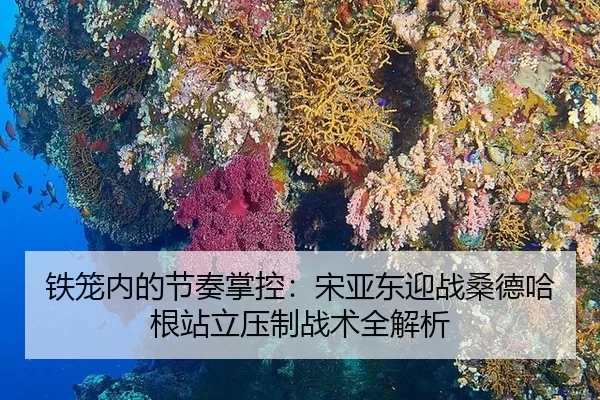 铁笼内的节奏掌控：宋亚东迎战桑德哈根站立压制战术全解析